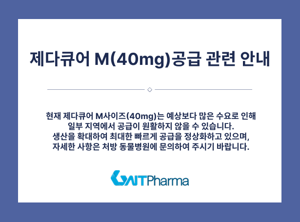 팝업